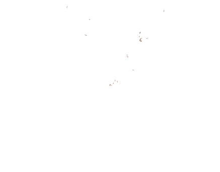 FAWN Chamber Creative