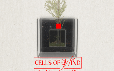 Cells of Wind Press Release